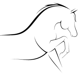 OL-JAN producent ujezdzalni